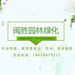 漳州市闽胜园林绿化工程有限公司